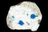 Vibrant Blue Cavansite Crystals on Stilbite & Mordenite - India #168248-1